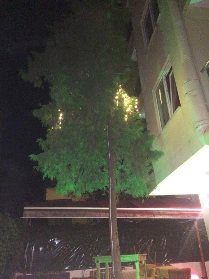 Alanya Demir Hotel Exterior photo
